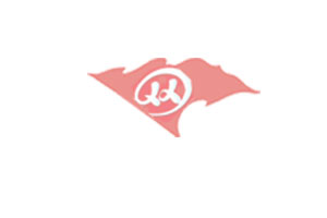 網(wǎng)站建設(shè)全攻略：流程、免費途徑與可靠公司選擇